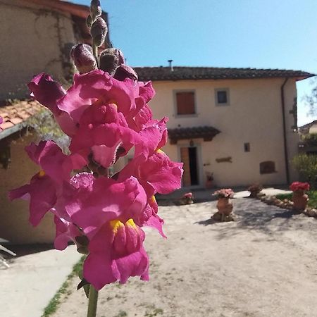 Casa Vacanze Podere Ugolini Ronta Εξωτερικό φωτογραφία