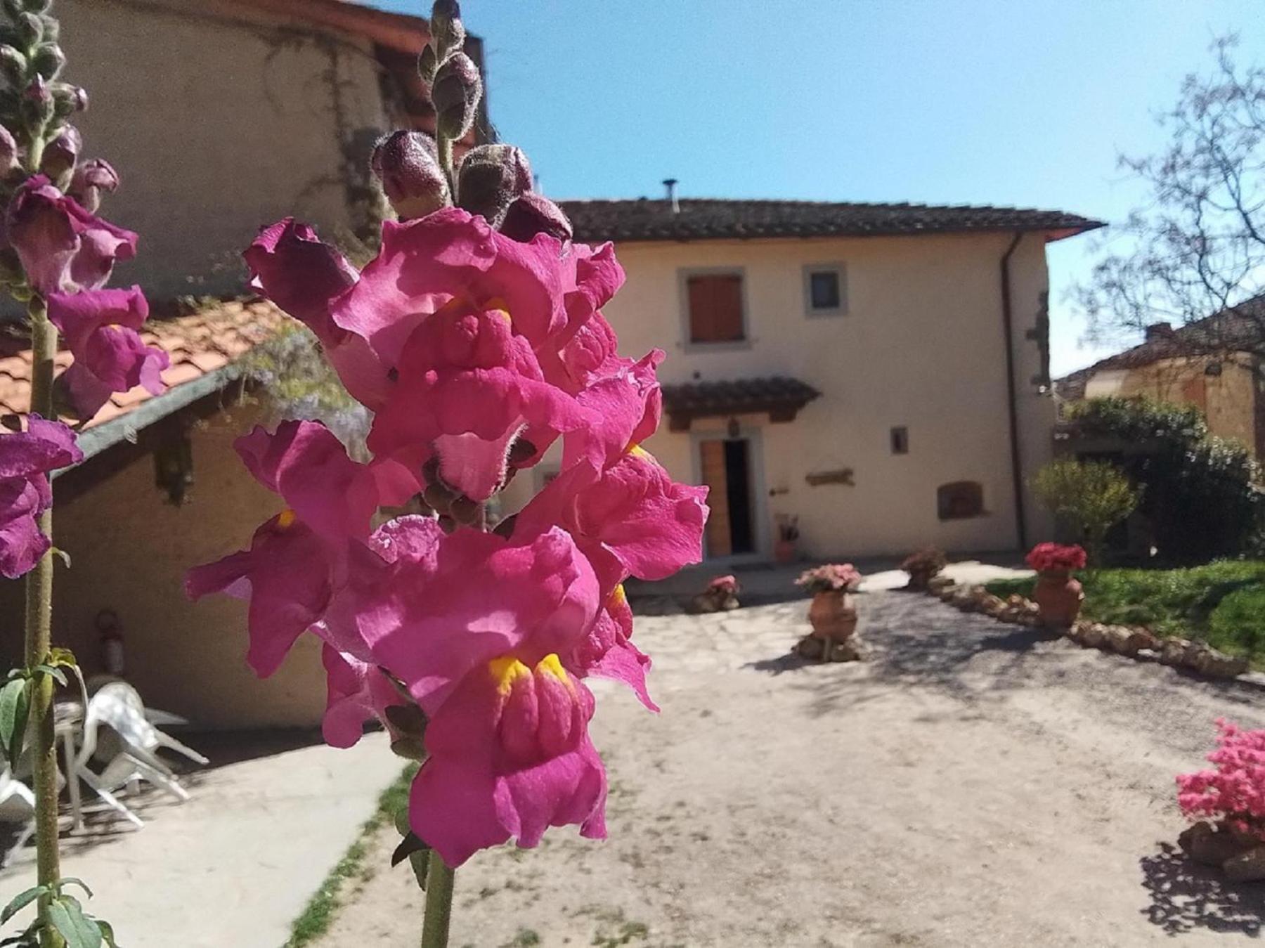 Casa Vacanze Podere Ugolini Ronta Εξωτερικό φωτογραφία