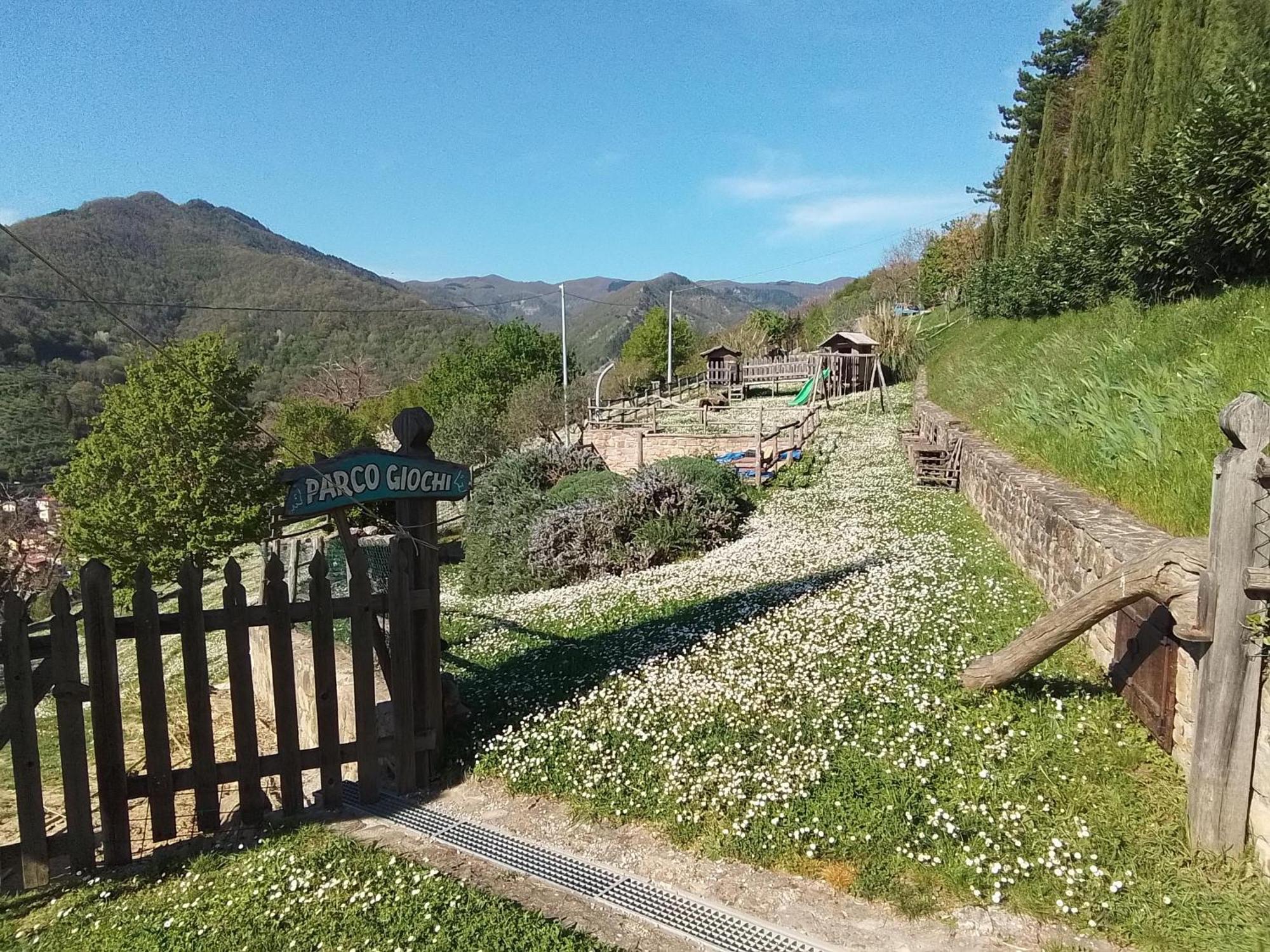 Casa Vacanze Podere Ugolini Ronta Εξωτερικό φωτογραφία