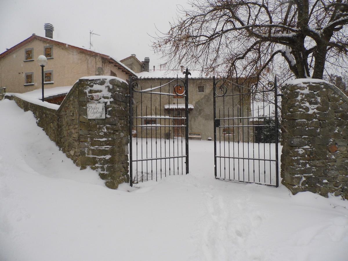 Casa Vacanze Podere Ugolini Ronta Εξωτερικό φωτογραφία