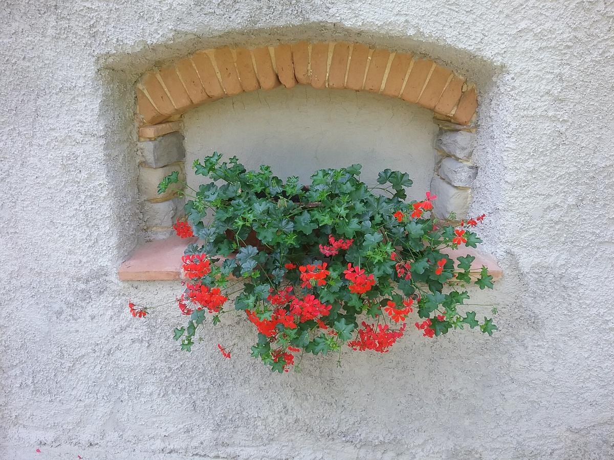 Casa Vacanze Podere Ugolini Ronta Εξωτερικό φωτογραφία