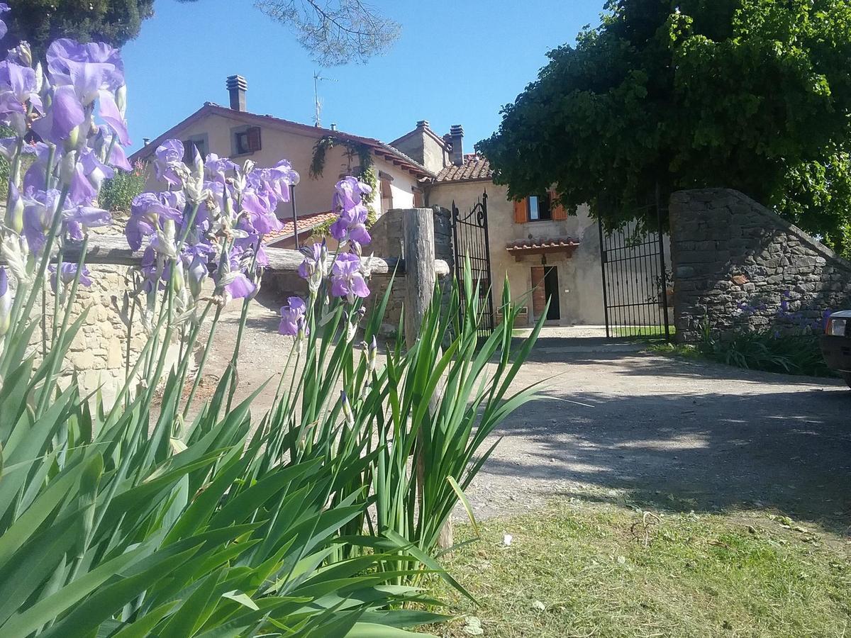 Casa Vacanze Podere Ugolini Ronta Εξωτερικό φωτογραφία