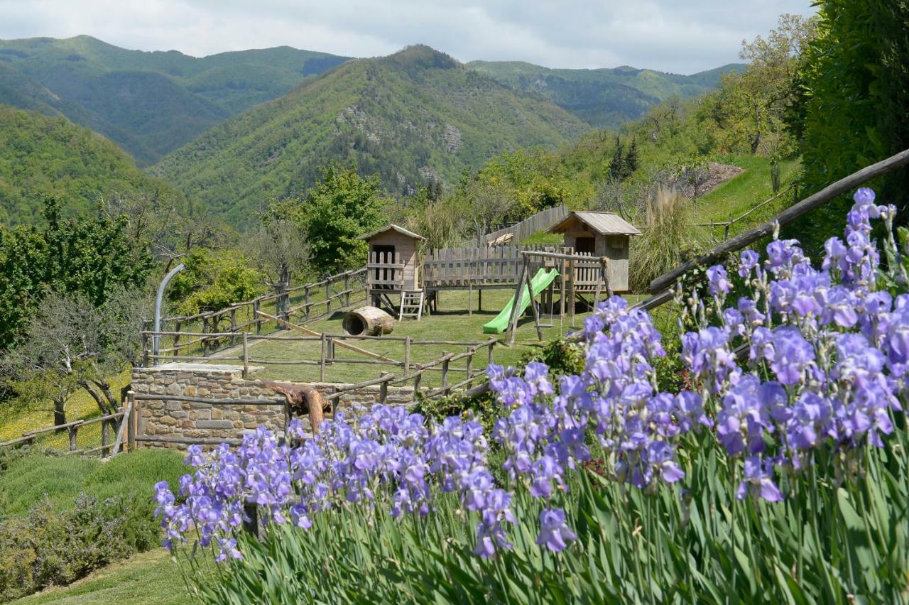 Casa Vacanze Podere Ugolini Ronta Εξωτερικό φωτογραφία